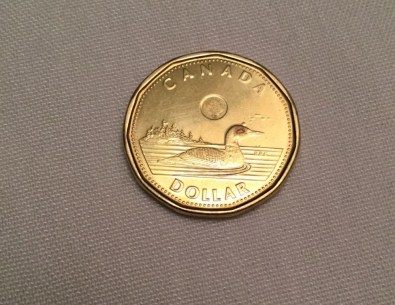 Loonie-2015-Errors